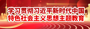 学习贯彻习近平新时代中国特色社会主义思想主题教育